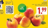Tafeläpfel Elstar im Angebot bei Marktkauf in Hemer Tafeläpfel Elstar Angebote bei Marktkauf Hemer für 1,99 €