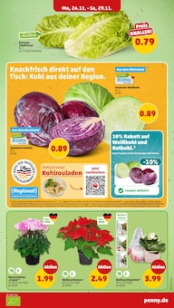 Salat im Penny Prospekt "Wer günstig will, muss Penny." mit 40 Seiten (Duisburg)