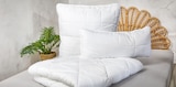 Aloe Vera Kopfkissen oder Aloe Vera Steppbett im Woolworth Prospekt Aloe Vera Kopfkissen oder Aloe Vera Steppbett von im aktuellen Woolworth Prospekt für 10,00 €