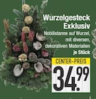 Wurzelgesteck Exklusiv von  im aktuellen EDEKA Prospekt für 34,99 €