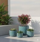 Pot terre cuite émaillée Bari - HYBA dans le catalogue Carrefour