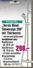 Vernis Blend Showerpipe 200 mit Thermostat von hansgrohe im aktuellen Hornbach Prospekt für 298,00 €
