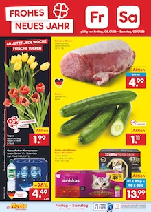 Blumen im Netto Marken-Discount Prospekt "Aktuelle Angebote" mit 62 Seiten (Magdeburg)