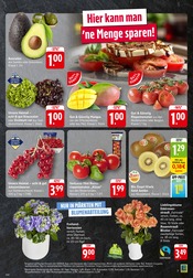 Hortensie im E center Prospekt in Leinfelden-Echterdingen Aktueller E center Prospekt mit Hortensie, "Aktuelle Angebote", Seite 7