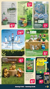 Fanartikel Angebot im Netto mit dem Scottie Prospekt, gültig von 17.08.2026 bis 22.08.2026 Fanartikel Angebot im aktuellen Netto mit dem Scottie Prospekt auf Seite 19