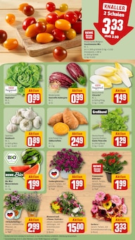 Lavendel im aktuellen REWE Prospekt (Hannover) Lavendel im REWE Prospekt "Dein Markt" mit 18 Seiten (Hannover)