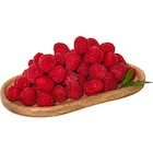 Framboise dans le catalogue Carrefour