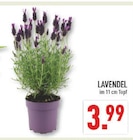 Marktkauf Gelsenkirchen Prospekt mit  im Angebot für 3,99 €