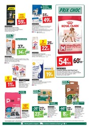 Promos Croquettes Chien dans le catalogue "Gamm vert MANIA" de Gamm vert Croquettes Chien en promo dans le catalogue Gamm vert à la page 3