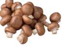 Champignons braun im Angebot bei tegut in Kassel Champignons braun Angebote von tegut... bei tegut Kassel für 1,49 €