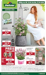 Dehner Garten-Center Parfum im Prospekt 