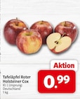 nah&frisch - Tafeläpfel Roter Holsteiner Cox Angebot im Prospekt Tafeläpfel Roter Holsteiner Cox bei nah&frisch im Prospekt für 0,99 €