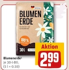 Blumenerde Angebote bei REWE Bornheim für 2,99 €