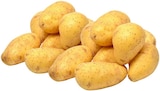 Speisekartoffeln Cilena im Angebot bei REWE in Kamen Speisekartoffeln Cilena Angebote von REWE bei REWE Kamen für 1,99 €