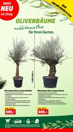 Garden Feelings Angebote im Prospekt "Top Angebote" von Thomas Philipps auf Seite 7