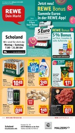 REWE Prospekt für Mülheim mit 30 Seiten REWE Prospekt für Mülheim: "Dein Markt", 30 Seiten, 13.01.2025 - 18.01.2025