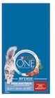 Hyper U Vernouillet - Promo Croquettes pour chat adulte sterilise Promo Croquettes pour chat adulte sterilise à 21,10 € dans le catalogue Hyper U à Vernouillet