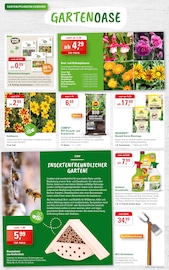 Aktueller ZG Raiffeisen Prospekt mit Gartendeko, "GARTENLIEBE ENTDECKEN - FRÜHLING ERLEBEN!", Seite 4