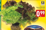 EDEKA - Multicolorsalat Angebot im Prospekt Multicolorsalat bei EDEKA im Prospekt "" für 0,99 €