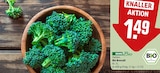 Bio Broccoli im Angebot bei REWE in Potsdam Bio Broccoli Angebote von REWE Bio bei REWE Potsdam für 1,49 €