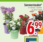Sommerstauden im Angebot bei EDEKA in Ravensburg Sommerstauden Angebote bei EDEKA Ravensburg für 6,99 €