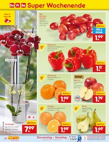 Zimmerpflanzen im aktuellen Netto Marken-Discount Prospekt (Mannheim) Zimmerpflanzen im Netto Marken-Discount Prospekt "Aktuelle Angebote" mit 54 Seiten (Mannheim)