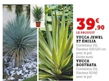 Yucca Jewel et Émilia en promo chez Super U Yucca Jewel et Émilia dans le catalogue Super U