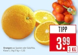 Orangen bei Marktkauf im Freiburg Prospekt für 3,99 €