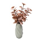 Eucalyptus rose dans vase twist à 6,99 € dans le catalogue B&M