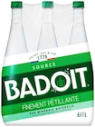 EAU MINÉRALE NATURELLE GAZEUSE VERTE - BADOIT - Netto EAU MINÉRALE NATURELLE GAZEUSE VERTE - BADOIT à 3,58 € dans le catalogue Netto