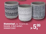 Blumentopf Angebote bei Opti-Wohnwelt Cuxhaven für 5,99 €