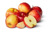 Äpfel im Penny Prospekt Deutsche rote Äpfel im aktuellen Penny Prospekt für 1,49 €