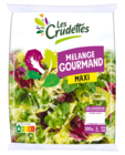 Mélange gourmand LES CRUDETTES en promo chez Carrefour Villeneuve-d'Ascq à 2,09 €