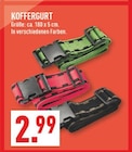 KOFFERGURT im Angebot bei Marktkauf in Ibbenbüren KOFFERGURT Angebote bei Marktkauf Ibbenbüren für 2,99 €