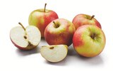 Wetteräpfel bei Lidl im Quickborn Prospekt für 2,22 €