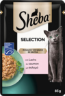 Selection Angebote von Sheba bei budni Pinneberg für 0,49 €