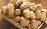 Pomme de terre de consommation non lavée - Pommes de Terre de en promo chez Netto Pomme de terre de consommation non lavée - Pommes de Terre de dans le catalogue Netto