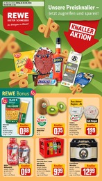 REWE Prospekt "Dein Markt", 28 Seiten, 30.06.2025 - 30.06.2025 Aktueller REWE Prospekt, "Dein Markt", mit Angeboten der Woche, gültig von 30.06.2025 bis 30.06.2025