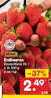 Aktuelles Erdbeeren Angebot bei Netto Marken-Discount in Braunschweig ab 2,49 €