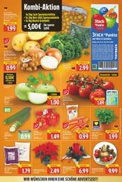 Ähnliche Angebote wie Obstbaum im Prospekt "Aktuelle Angebote" auf Seite 3 von E center in Falkensee