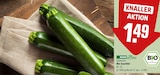 Bio Zucchini Angebote von REWE Bio bei REWE Nürnberg für 1,49 €