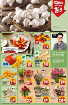 Blumen im REWE Prospekt "Dein Markt" mit 38 Seiten (Nürnberg)