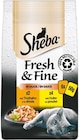 Fresh & Fine Katzennassnahrung von Sheba für 1,99 € bei Netto mit dem Scottie im Angebot Fresh & Fine Katzennassnahrung von Sheba im aktuellen Netto mit dem Scottie Prospekt
