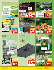 Saatgut im Netto Marken-Discount Prospekt in Görlitz Aktueller Netto Marken-Discount Prospekt mit Saatgut, "Aktuelle Angebote", Seite 37