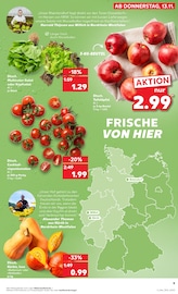 Kürbis im Kaufland Prospekt in Bielefeld Aktueller Kaufland Prospekt mit Kürbis, "KNÜLLER", Seite 9