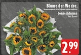 EDEKA Thuine - Sonnenblumen Angebot im Prospekt Sonnenblumen bei EDEKA im Thuine Prospekt für 2,99 €