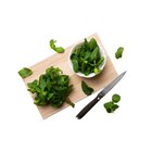Menthe en promo chez Carrefour Menthe dans le catalogue Carrefour