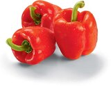 Aktuelles Paprika rot Angebot bei Netto Marken-Discount in Oldenburg ab 1,99 €