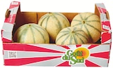 Promo Melon Charentais jaune à 4,99 € dans le catalogue Colruyt à Bertrange