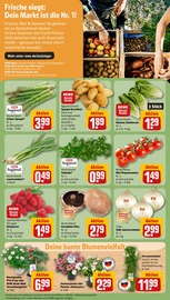Ähnliche Angebote wie Passierte Tomaten im Prospekt "Dein Markt" auf Seite 11 von REWE in Bremen